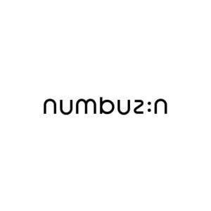 Numbuzin logo