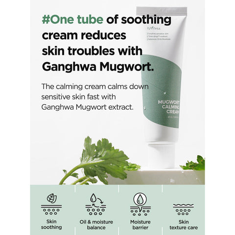 Isntree Mugwort Calming Cream info