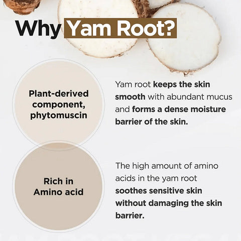 [Isntree] Yam Root Vegan Milk Cream